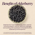 Nature's Way Sambucus Immune Lozenges Honey Lemon - 24 Count - image 5