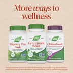 Nature's Way Fenugreek Seed Capsules for Lactation Support - 320ct - image 8