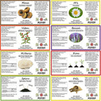 Hekma Center MS Supplement Package with 18 Herbs - 1 Count - image 3