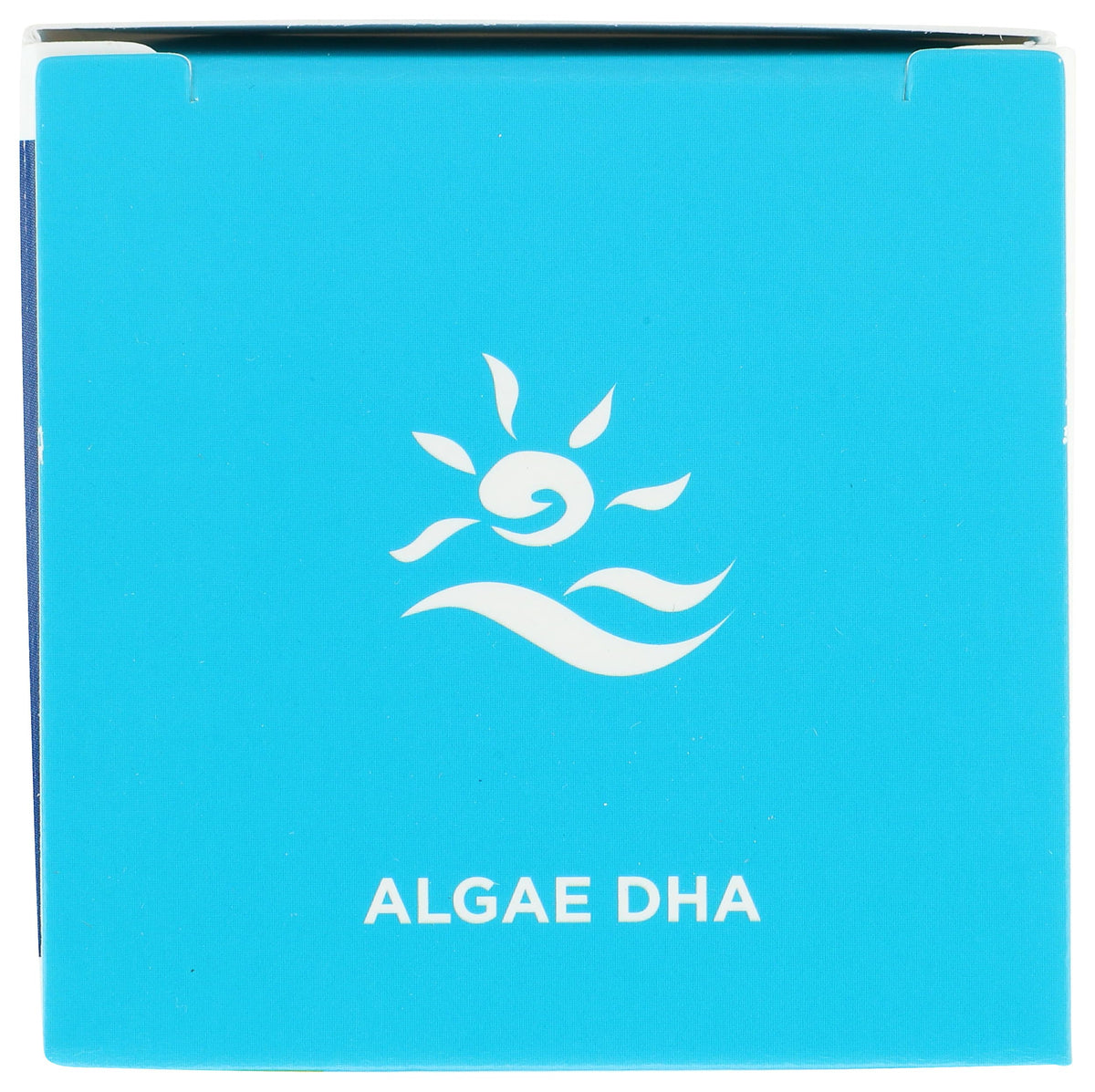 Nordic Naturals Algae DHA - Vegetarian DHA Supplement