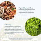 Youtheory Mushroom Stress Complex - 60 Vegetarian Capsules - image 5