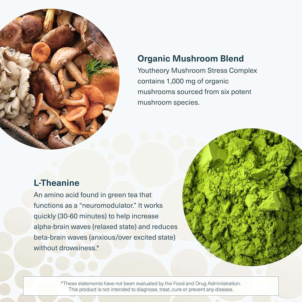 Youtheory Mushroom Stress Complex - 60 Vegetarian Capsules - image 5