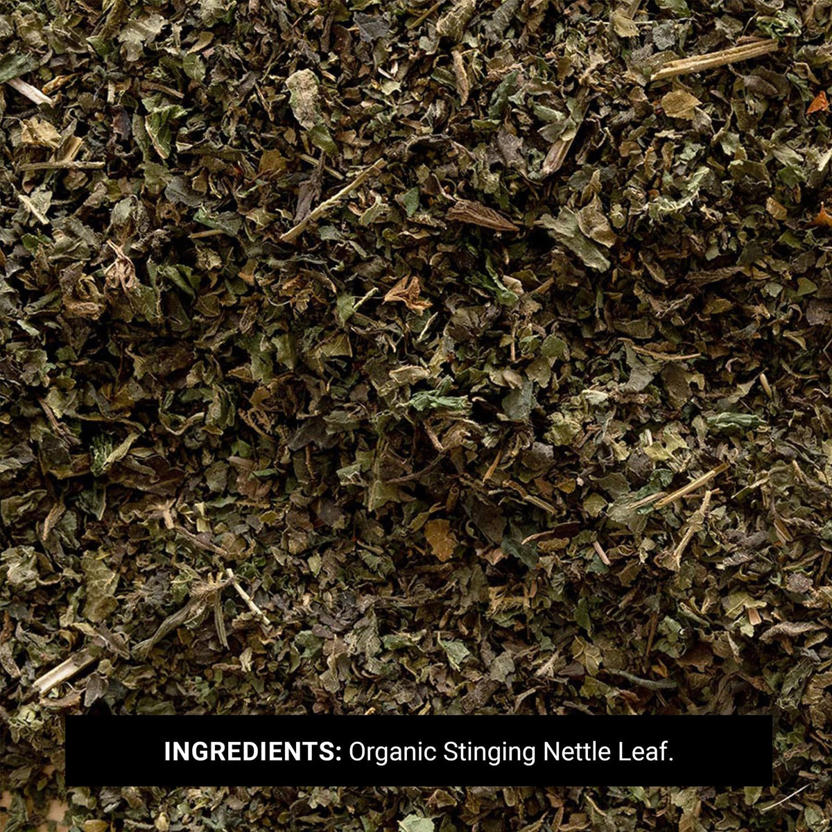 Frontier Co-op Organic Stinging Nettle Leaf Tea - 16 Ounce - image 3