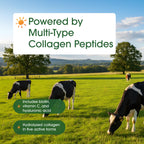 NatureBell Multi Collagen Protein Powder - 600g - image 6