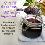 Ednberry Premium Organic Elderberry Syrup Kit - 32 Fl Oz - image 4
