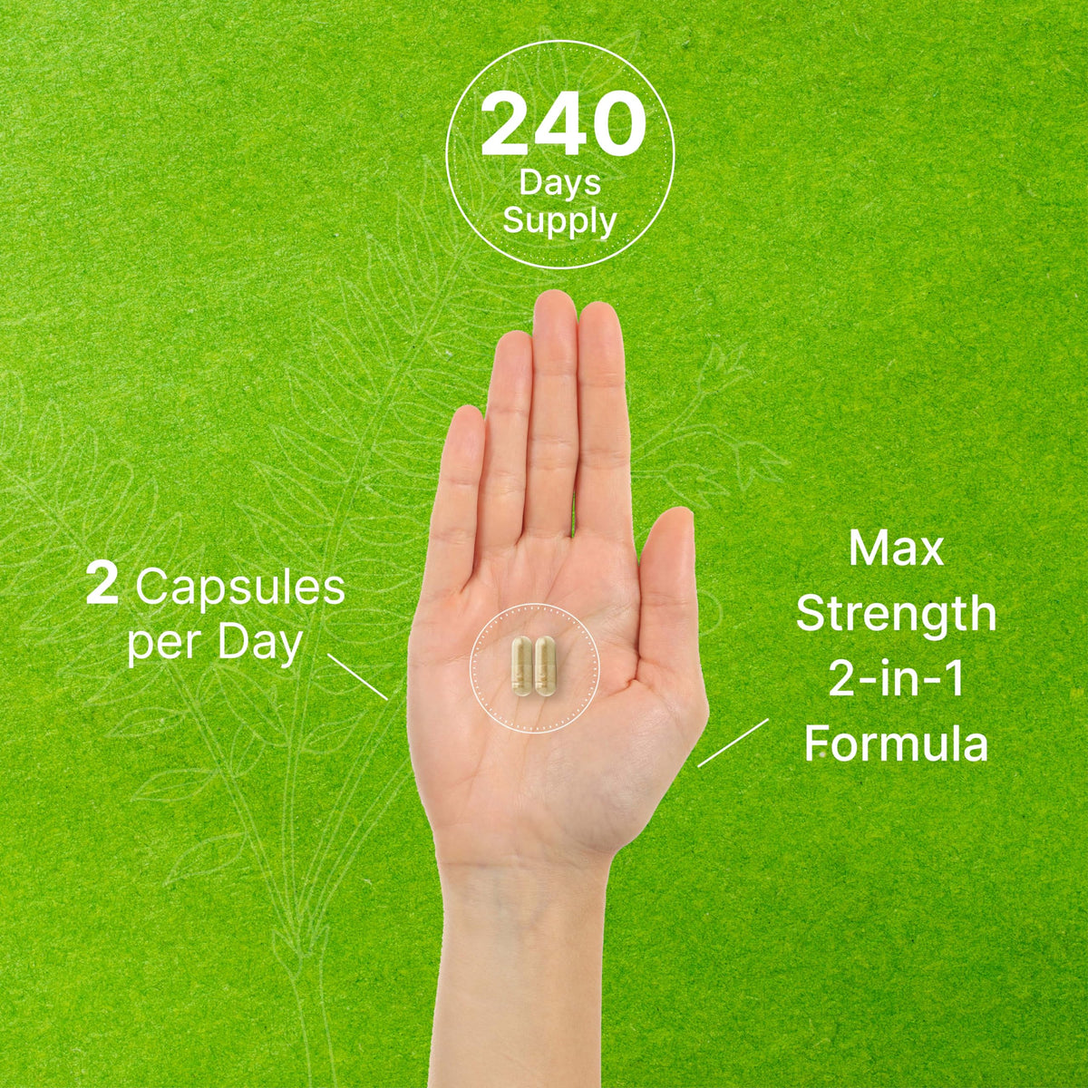 DEAL SUPPLEMENT Tongkat Ali Extract 300:1 with Horny Goat Weed - 240 Capsules - image 5