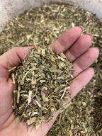 Organic Bio Herbs Echinacea Dried Flowers - 6 Oz - image 3