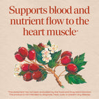 Nature's Way HeartCare Hawthorn Standardized Extract - 120 Tablets - image 3