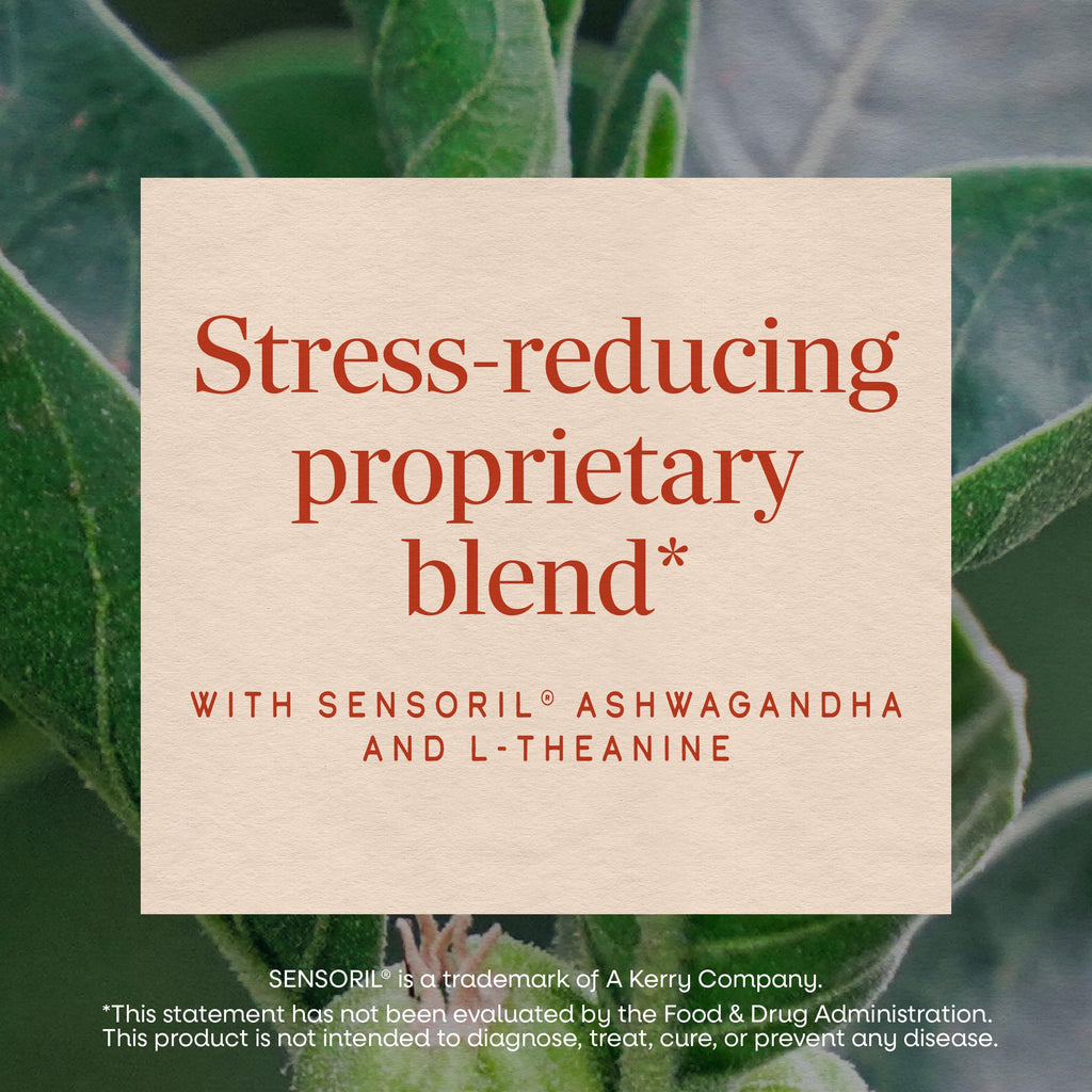 Nature's Way Sleep Tonight Ashwagandha & L-Theanine - 28 Tablets - image 5