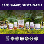 Host Defense Lion's Mane Gummies for Brain Support - 90 Gummies - image 7