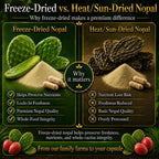Natural Home Cures Freeze-Dried Nopal Cactus Capsules - 120 Vegan Capsules - image 6