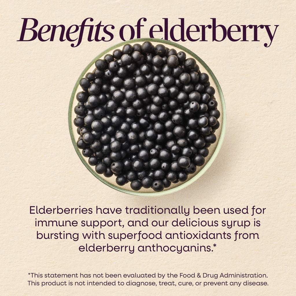 Nature's Way Sambucus Immune Elderberry Syrup with Vitamin C & Zinc - 8 Fl Oz - image 5