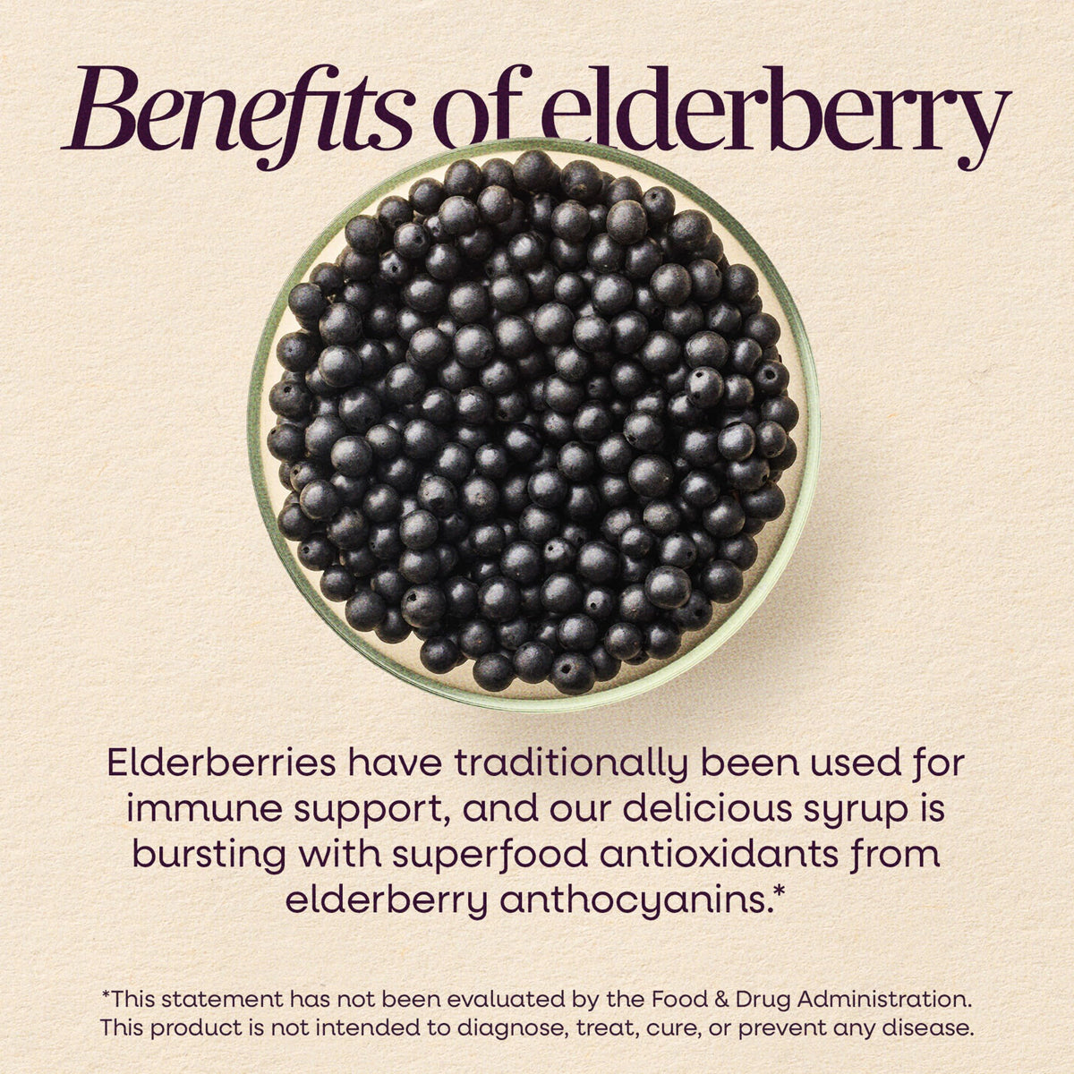 Nature's Way Sambucus Immune Elderberry Syrup with Vitamin C & Zinc - 8 Fl Oz - image 5