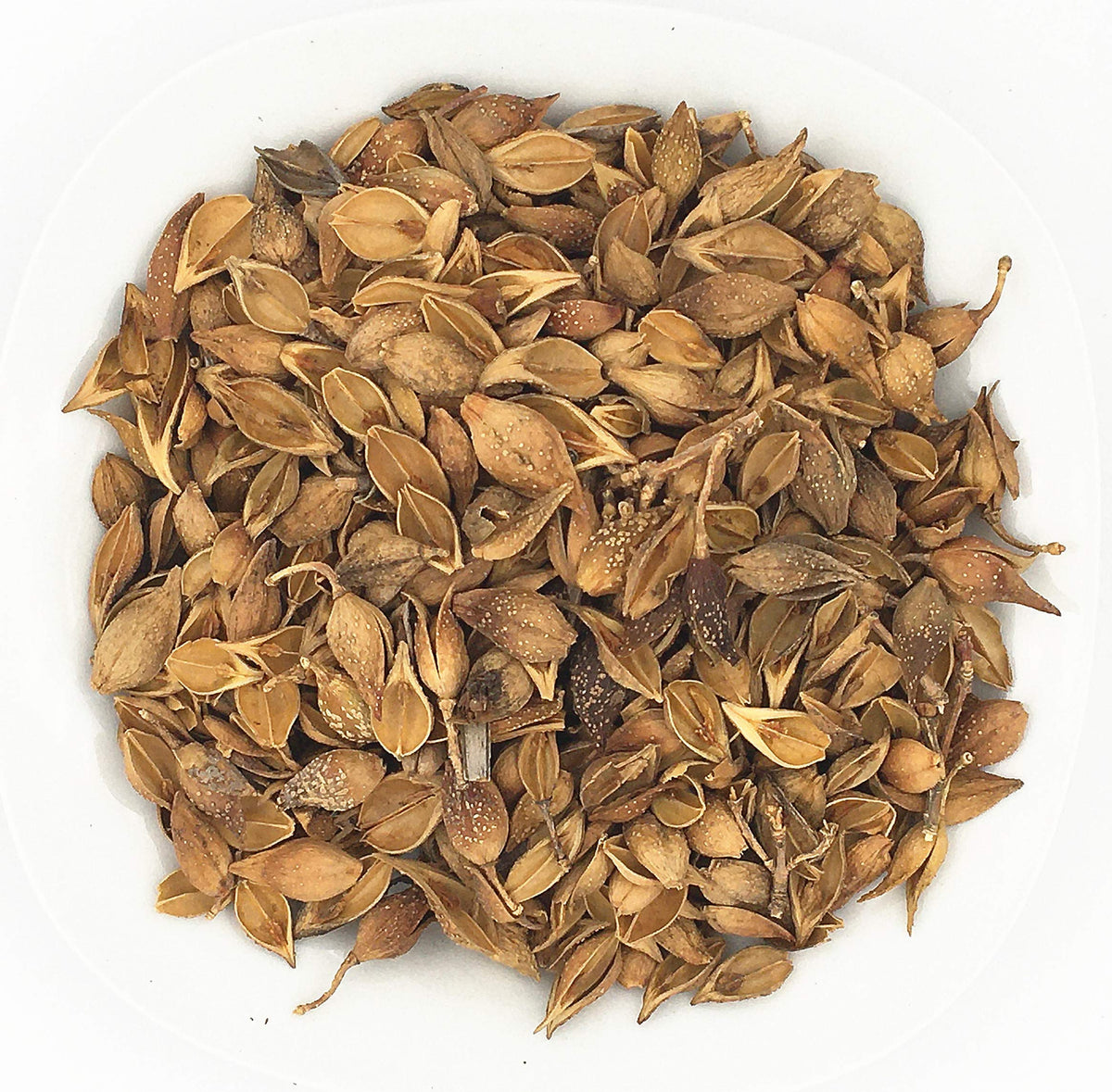 Greenlike Natural Dry Wild Lian Qiao Forsythiae Herbal Supplement - 4oz - image 2