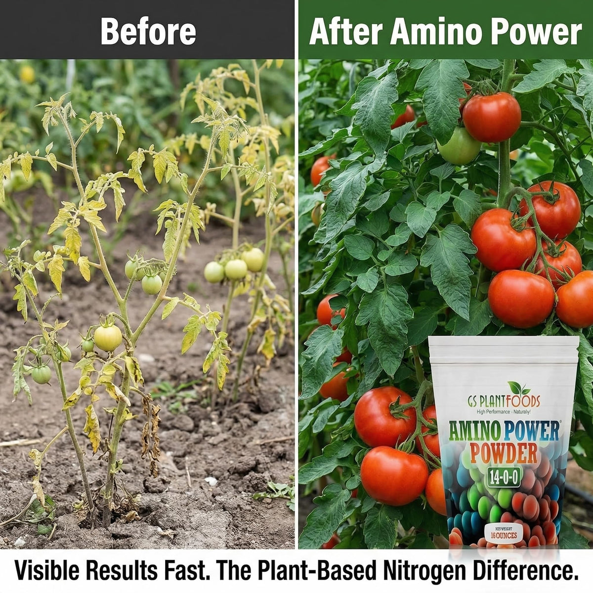 GS Plant Foods Amino Power Nitrogen Fertilizer Powder - 16 oz - image 2