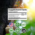 SMSHEALTHPRODUCTS.com Lion's Mane Mushroom Brain Support - image 5