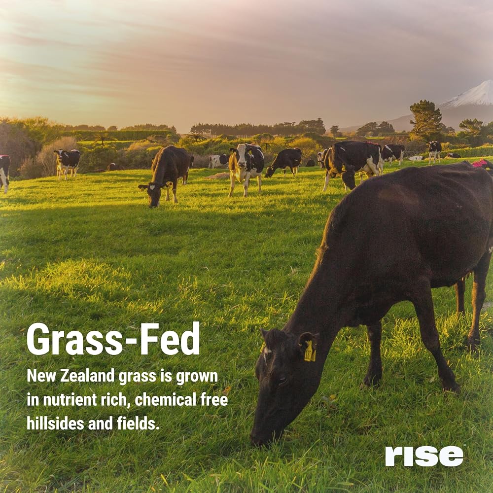 Rise Grass-Fed Whey Protein Powder