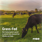 Rise Grass-Fed Whey Protein Powder