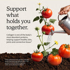 Garden of Life Collagen Peptides Powder