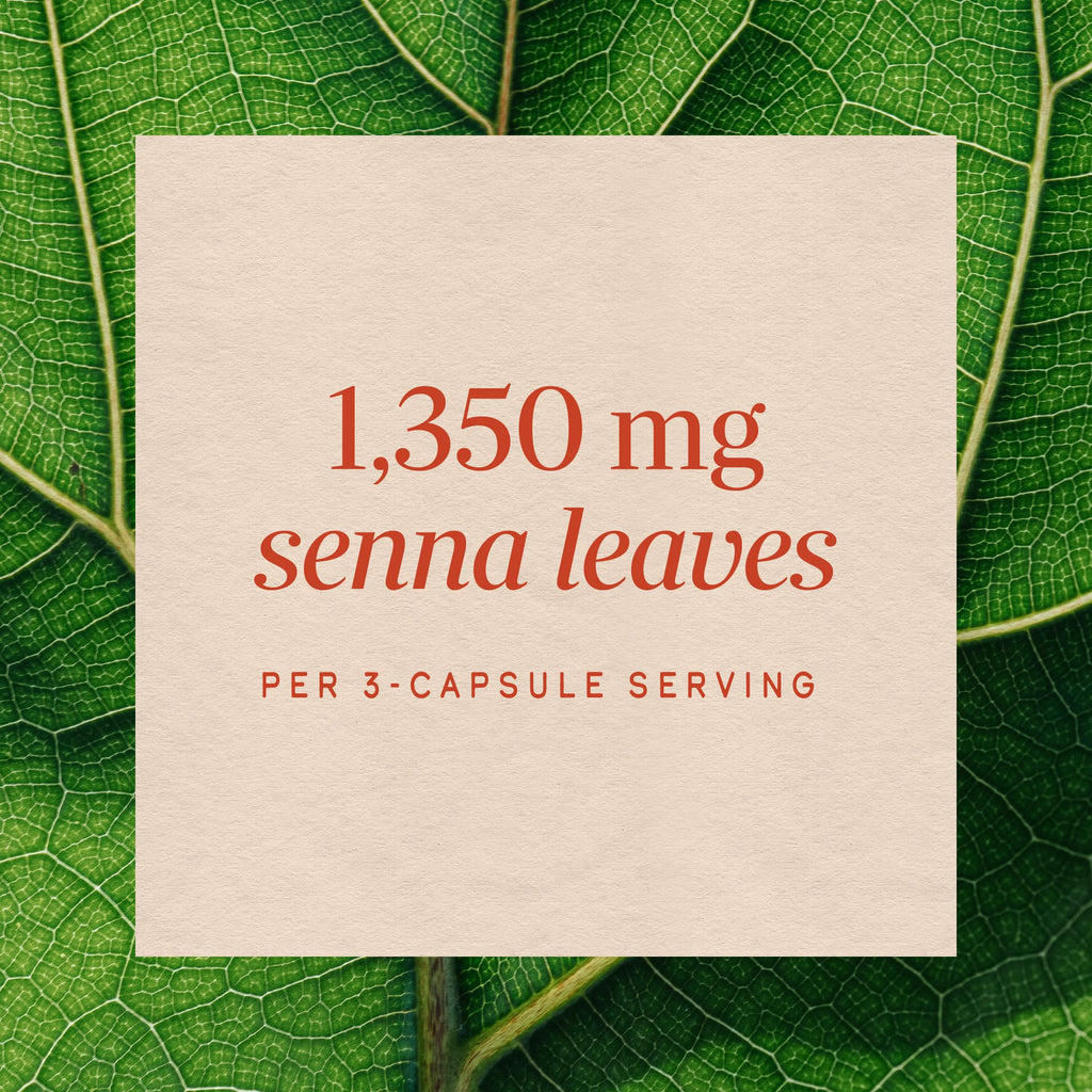 Nature's Way Senna Leaves Laxative - 100 Capsules - image 4
