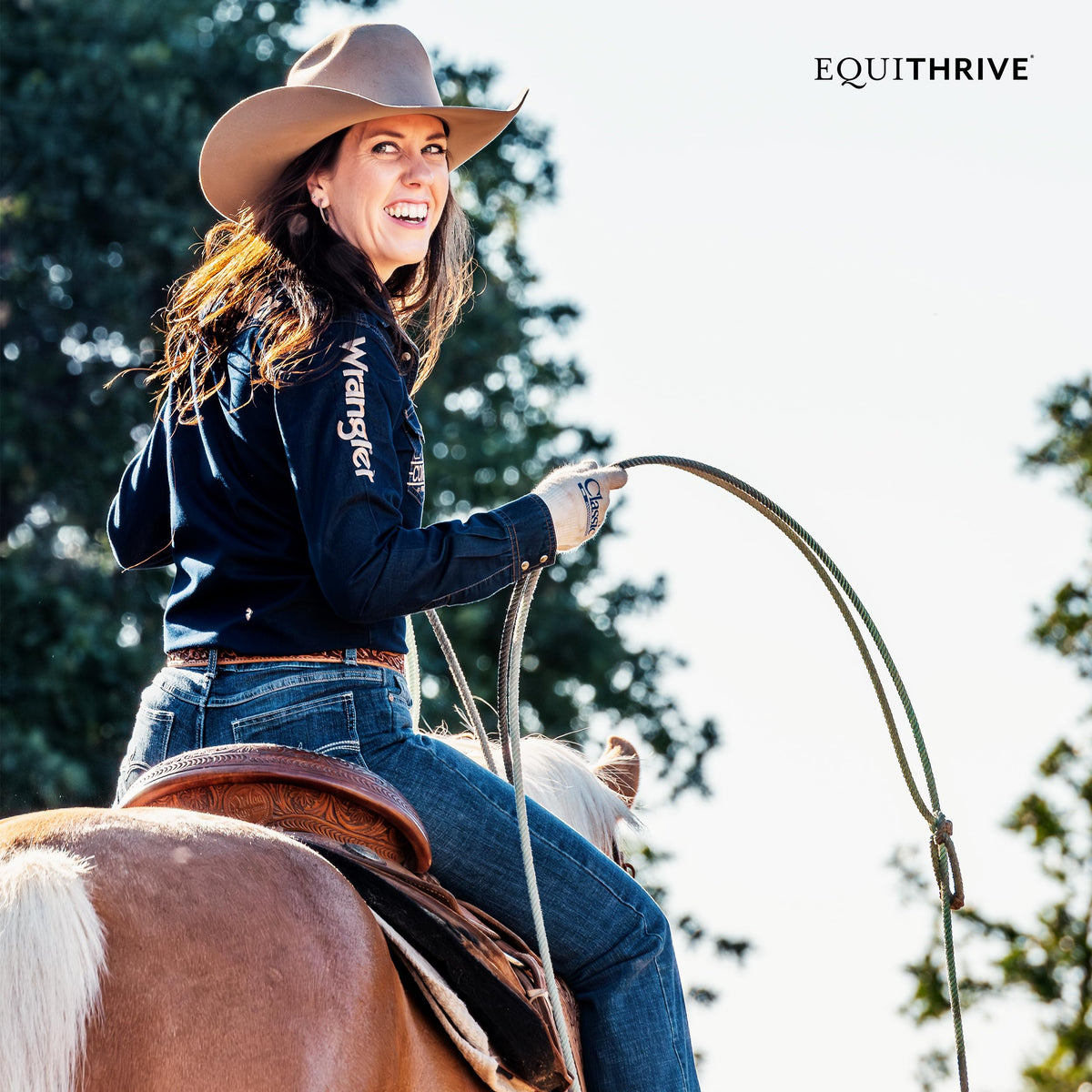 Equithrive Original Joint Powder Horse Supplement Molasses - 8 lbs - image 5