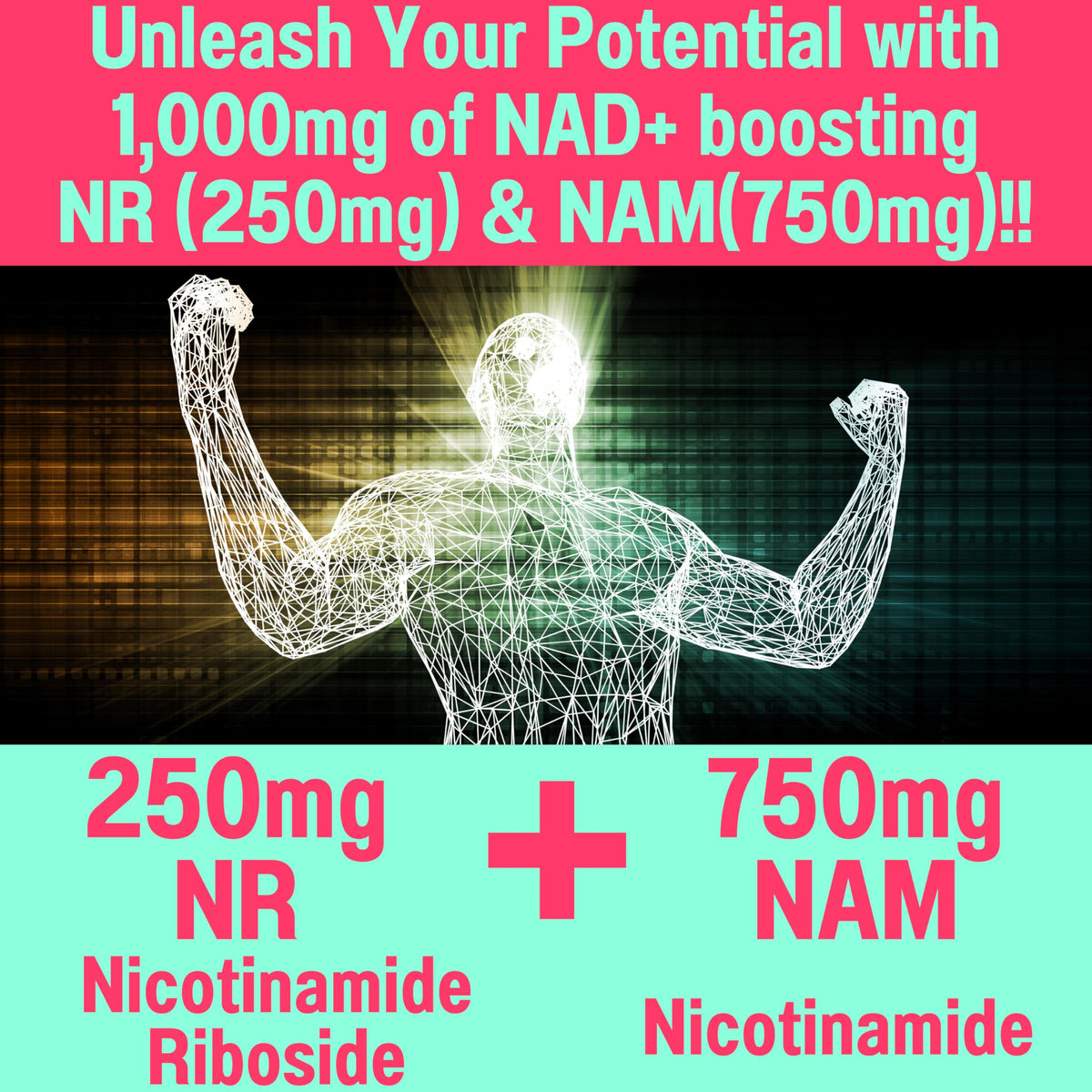 SHIZAM Nicotinamide Riboside NAD+ Gummies - 60 Count - image 3