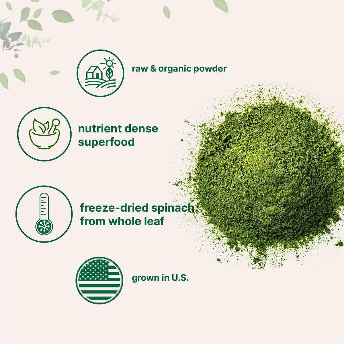 Micro Ingredients Organic Spinach Powder - 1 Pound - image 3