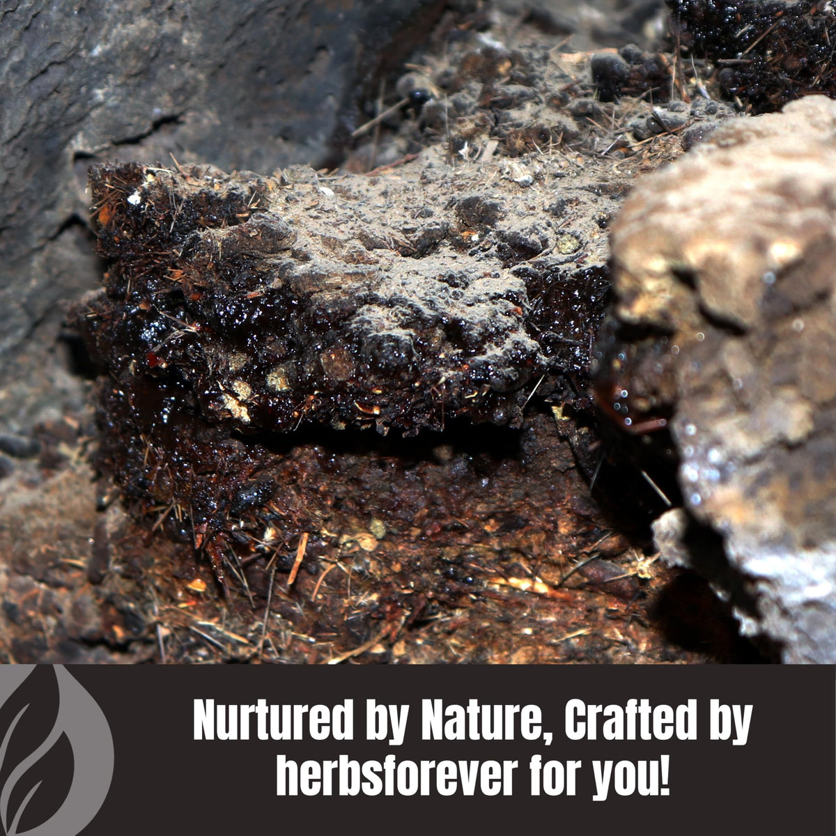 Herbsforever Shilajit Powder Mineral Pitch 6:1 Extract - 230g - image 9