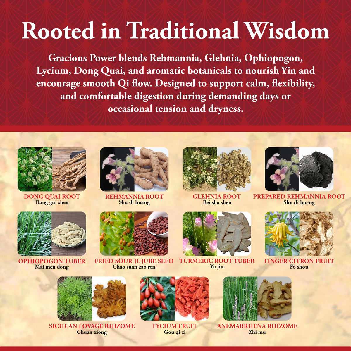 Kan Herb Gracious Power Traditional Chinese Herbal Formula - 120 Tablets - image 4