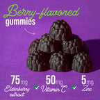 Migdla Wellmo Elderberry Immunity Gummies with Vitamin C and Zinc - 60 Count - image 3