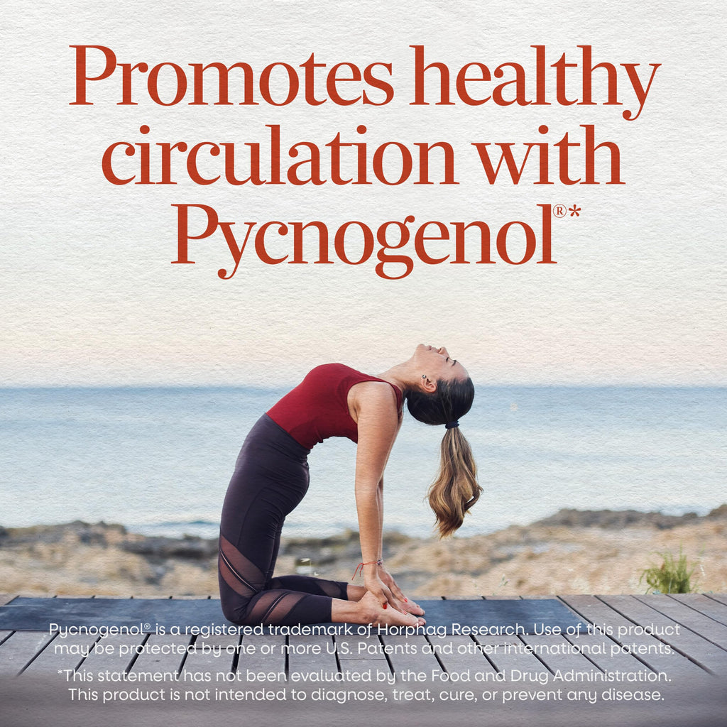Nature's Way Pycnogenol 50mg Circulation Support - 30 Tablets - image 2