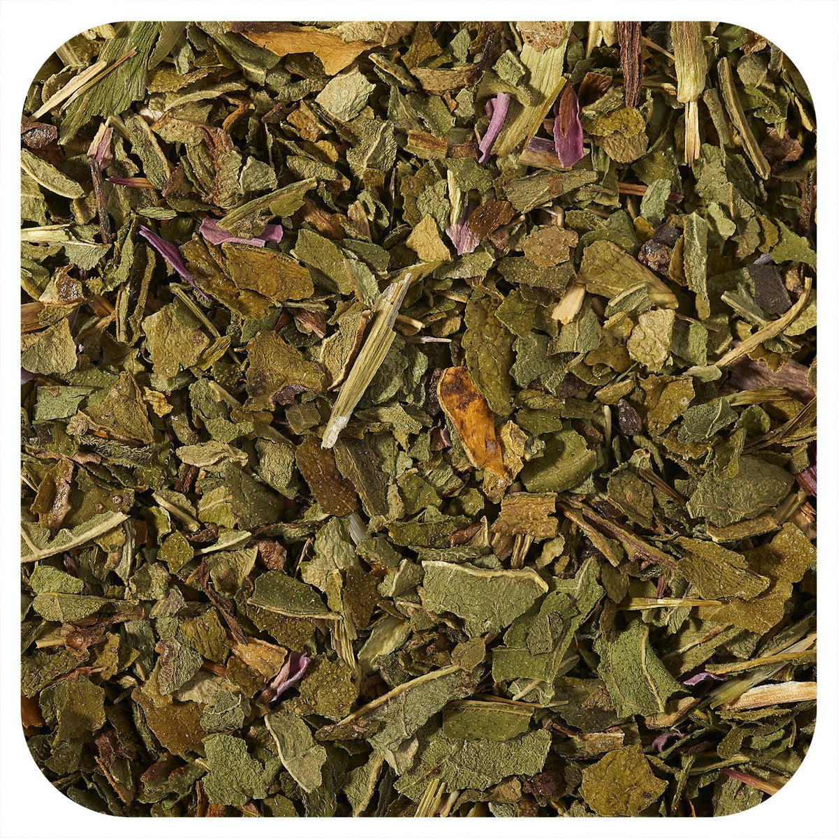 Starwest Botanicals Organic Echinacea Purpurea Herb - 1 Pound