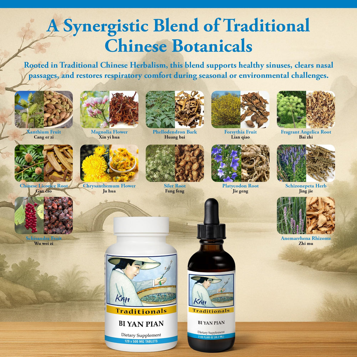 Kan Herb Company Bi Yan Pian