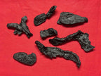 Xi Yao Peng Shudihuang Prepared Rehmannia Root - 100g - image 2