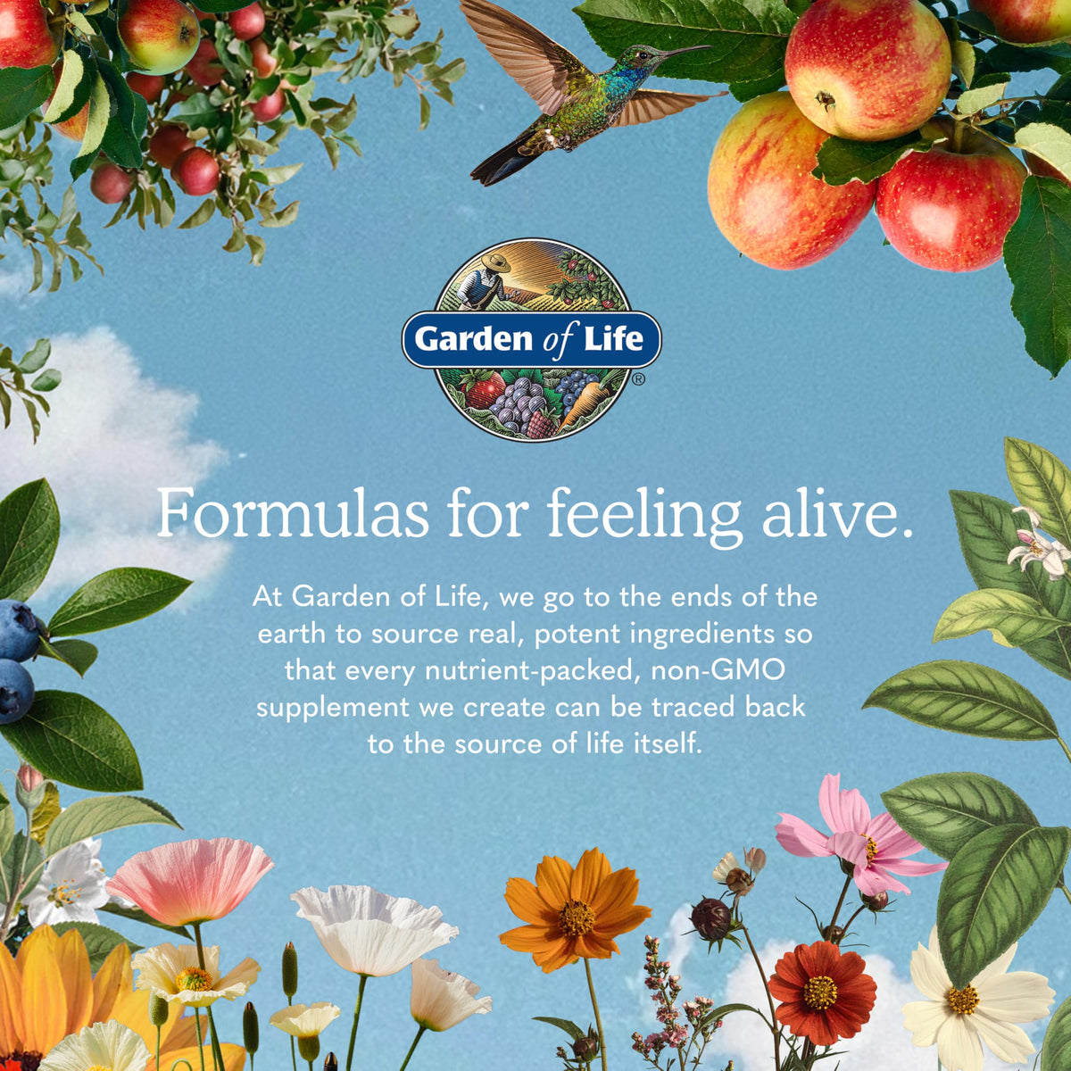 Garden of Life Dr. Formulated Magnesium Gummies