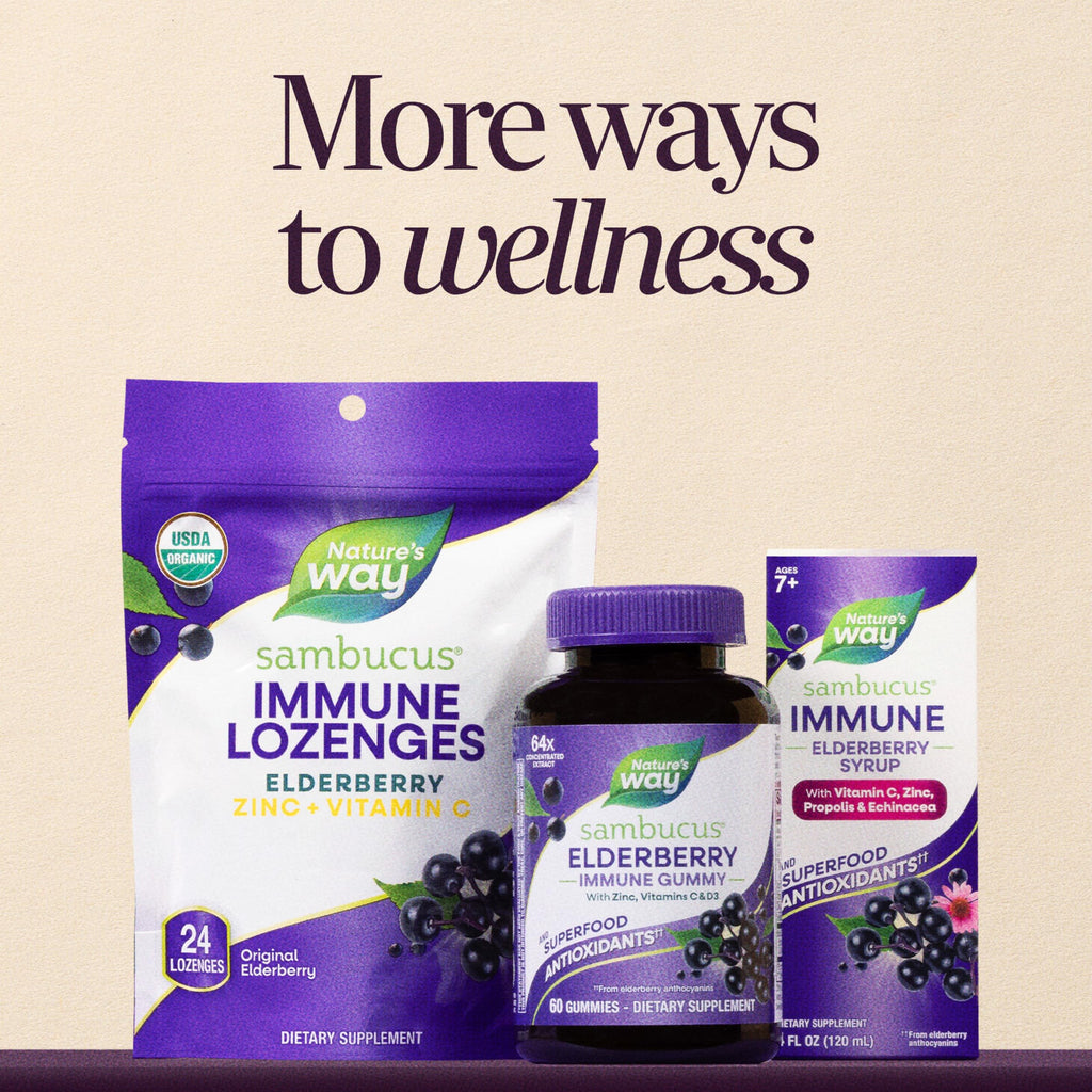 Nature's Way Sambucus Zero Sugar Traditional Immune Syrup