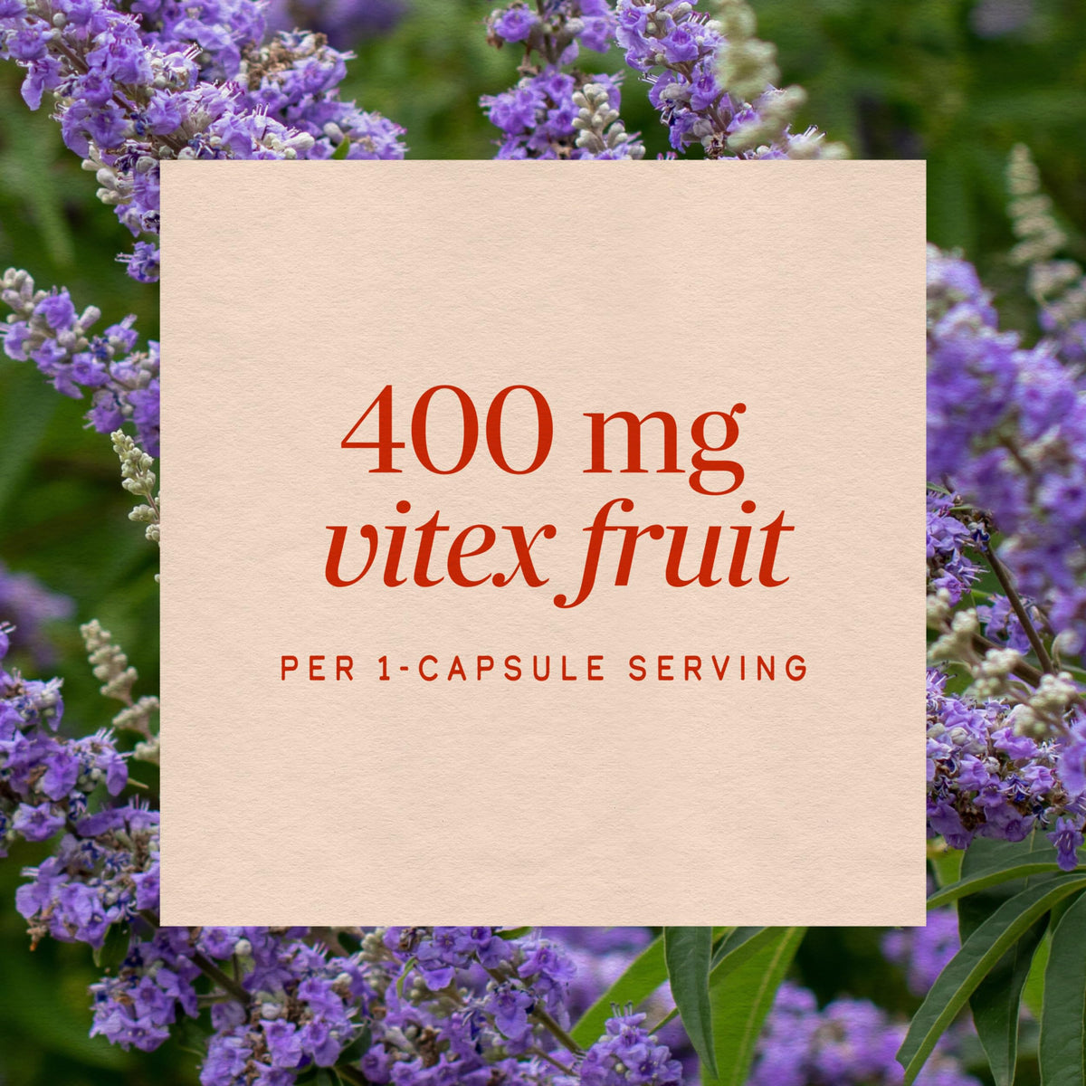 Nature's Way Vitex Fruit Chasteberry Capsules - 320 Count - image 4