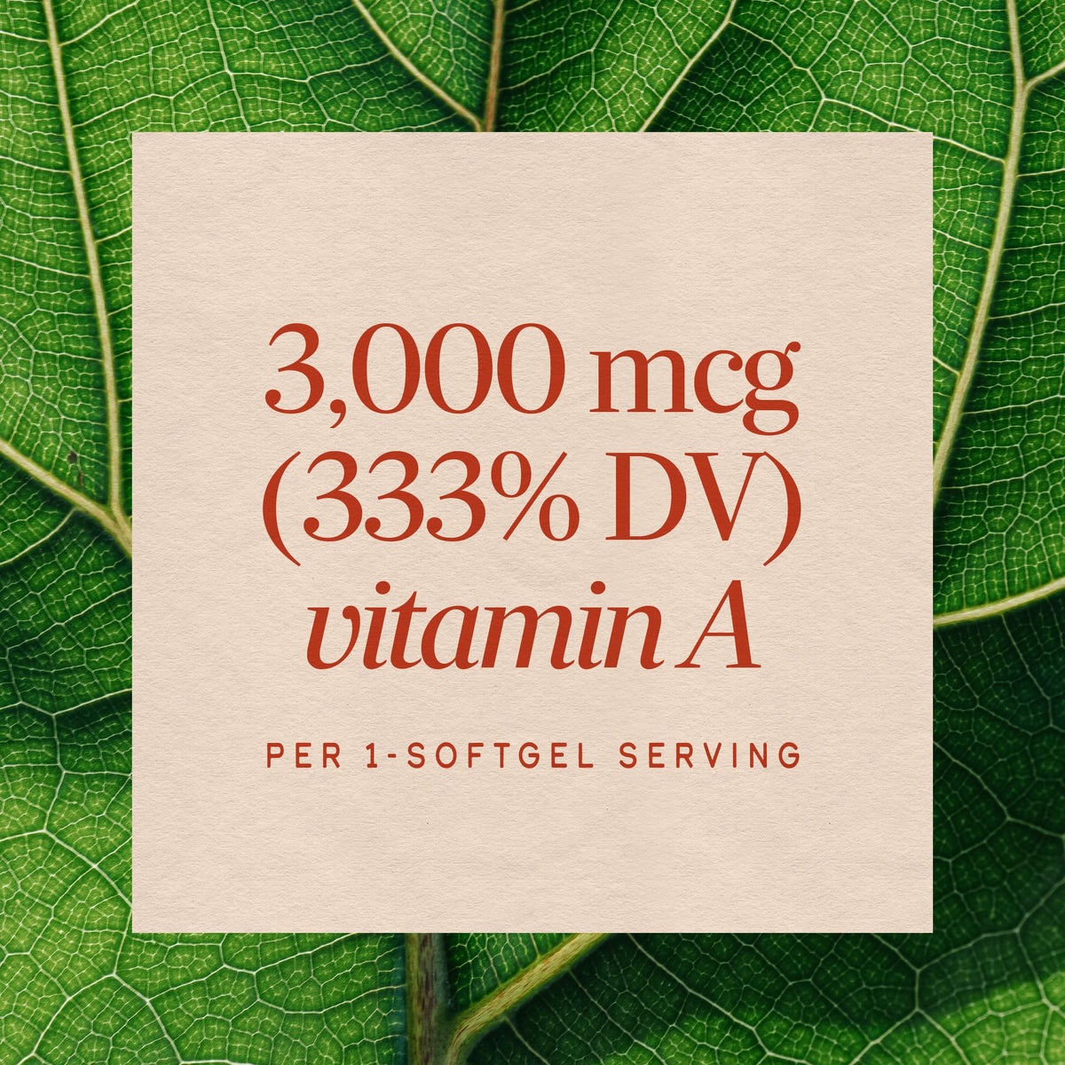Nature's Way Vitamin A 3,000 mcg Softgels - 100 Count - image 4