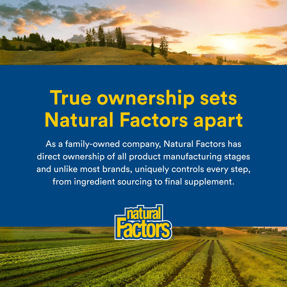 Natural Factors Micronized L-Glutamine Amino Acid 5,000 mg - 90 Servings - image 7