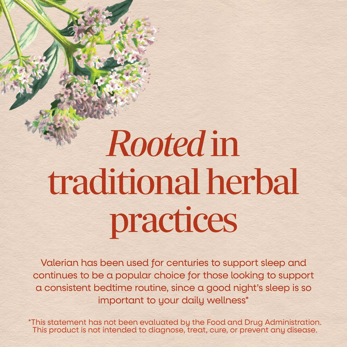 Nature's Way Valerian Root Extract for Sleep Support - 90 Capsules - image 3