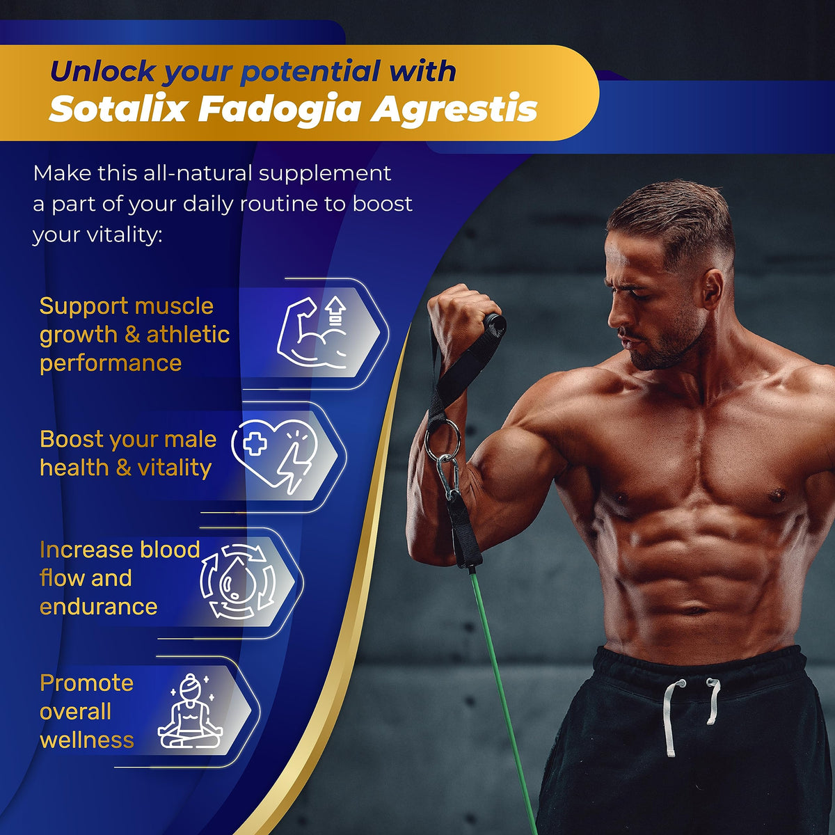 Sotalix Advanced Fadogia Agrestis 6-in-1 with Tongkat Ali - 90 Capsules - image 4