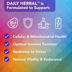 Vital Plan Daily Herbal Supplement for Immune Support - 90 Capsules - image 7