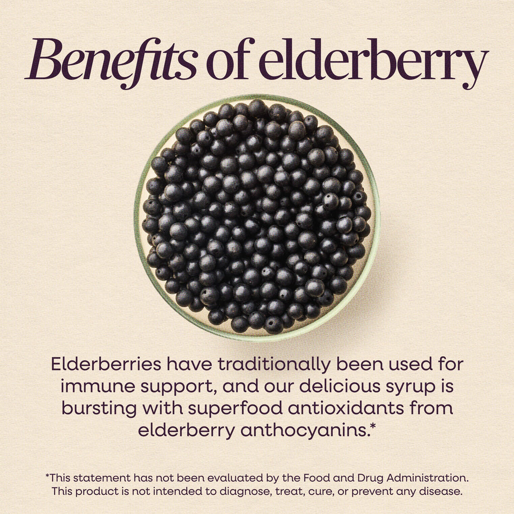 Nature's Way Sambucus Zero Sugar Traditional Immune Syrup