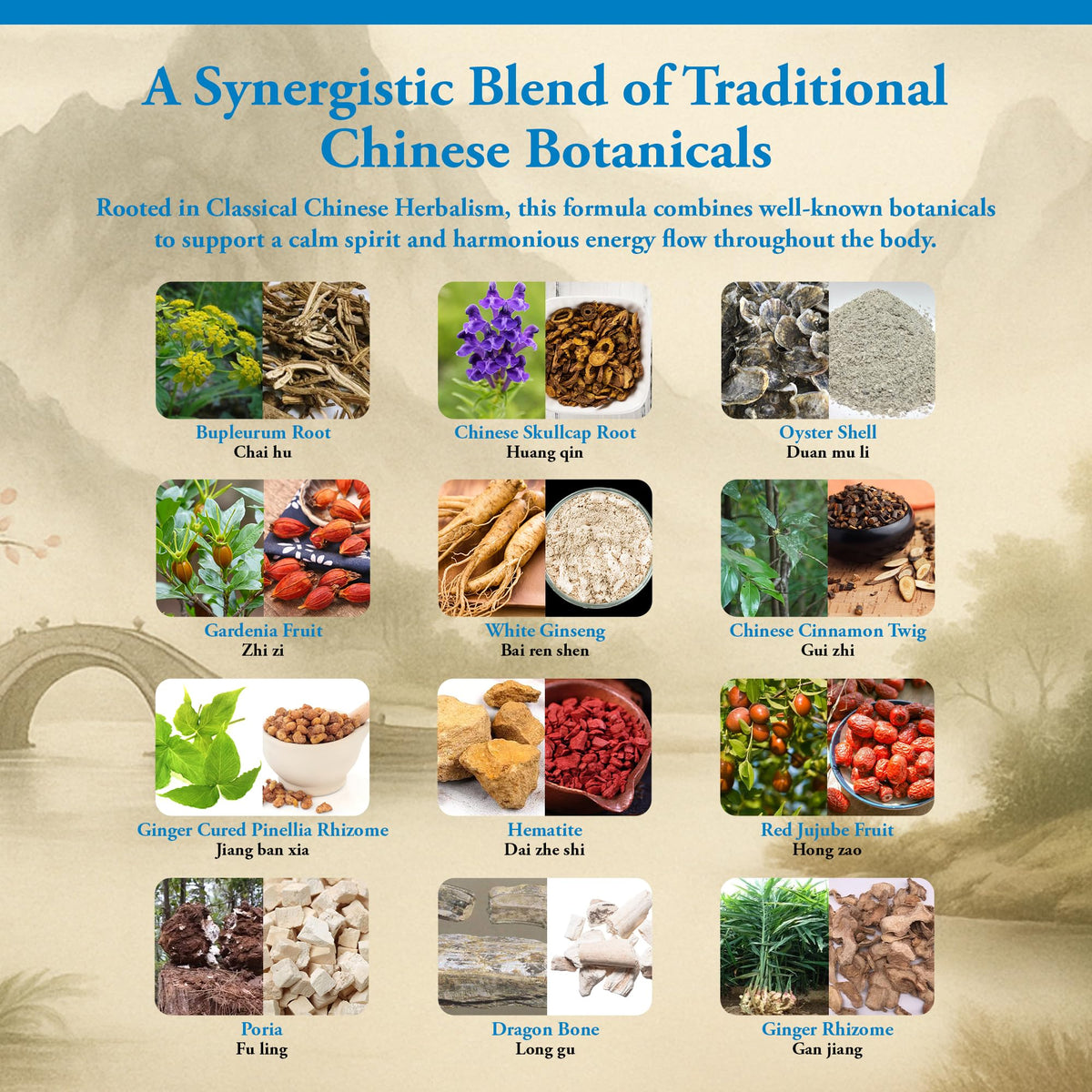 Kan Herbs Calm Dragon Formula Emotional Balance - 120 Tablets - image 4