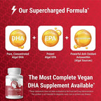 Physician Formulated Vegan DHA Omega 3 Brain Support - 60 Softgels - image 4
