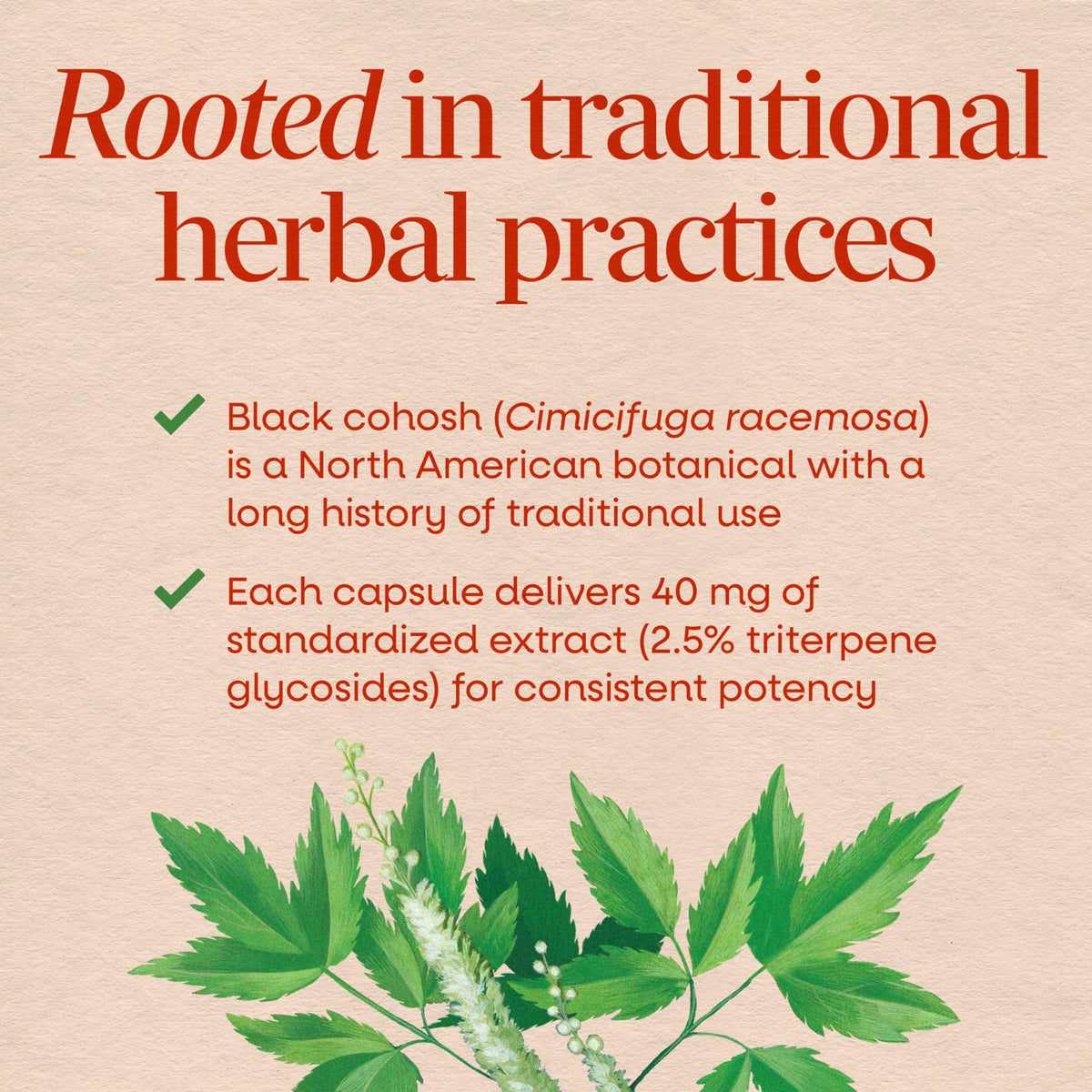 Nature's Way Black Cohosh Menopause Support - 120 Capsules - image 3