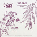 WishGarden Herbs Cranial Comfort Head & Neck Tension Tincture - 2 Fl Oz - image 4