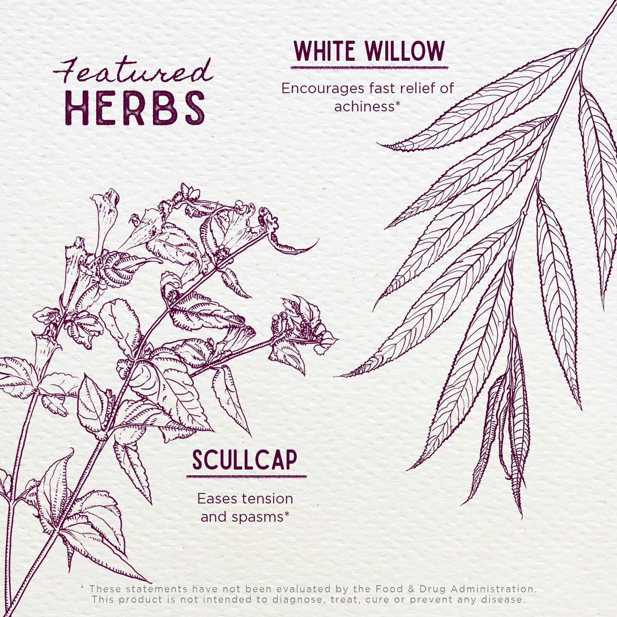 WishGarden Herbs Cranial Comfort Head & Neck Tension Tincture - 2 Fl Oz - image 4
