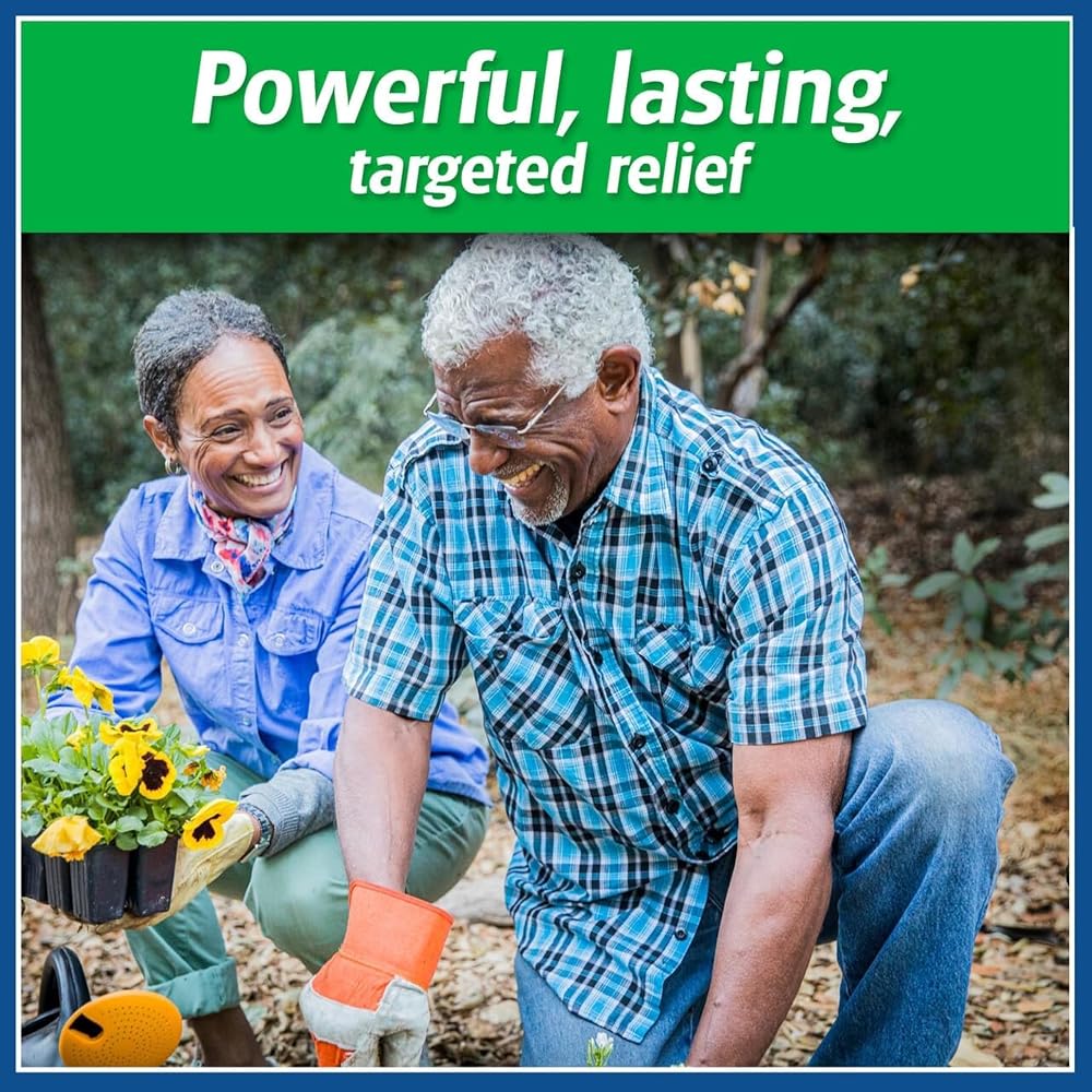 Salonpas Large Pain Relief Patches - 6 Patches - image 3