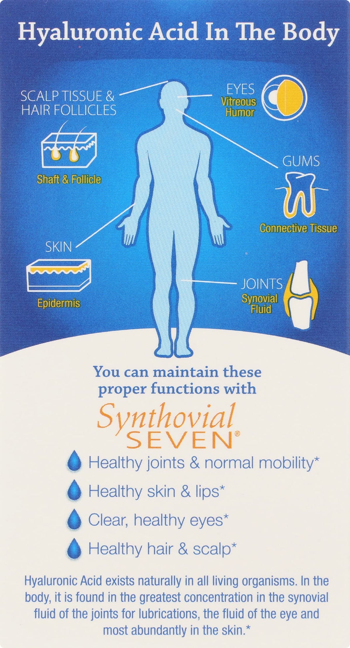 Hyalogic Synthovial Seven Hyaluronic Acid Supplement - 1 Fl Oz - image 2